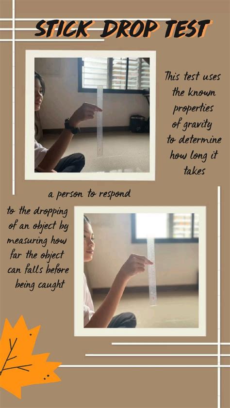 average stick drop test|A Battery of Easily Accessible, Simple Tools for the Assessment .